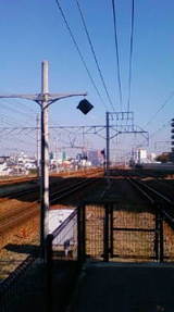 45302566.jpg