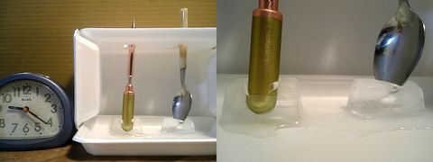 ����ʬ�в�