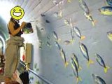 ������