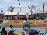 76223ea4.JPG