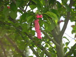 P1010174