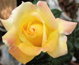 6f70a633.jpg