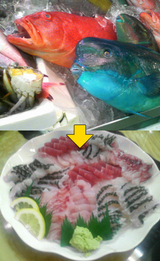 沖縄_魚