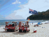 82e3a3db.gif