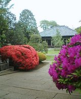 天王寺.jpg