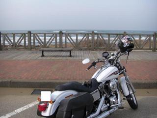 �ϡ��졼���ӥåɥ�����ߤ����ܳ�