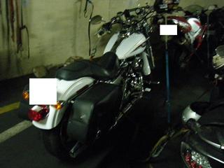 �ϡ��졼�ȥե��꡼�θ�����ˡ