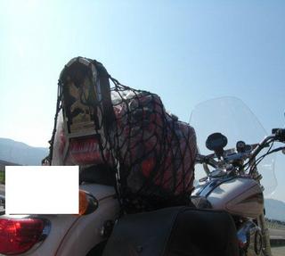 �ϡ��졼���ӥåɥ���Ȳ���