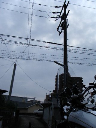 �ϡ��졼�ȶ彣�ζ�