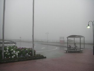 �ϡ��졼���ӥåɥ���ȹ�®ƻϩ��̸