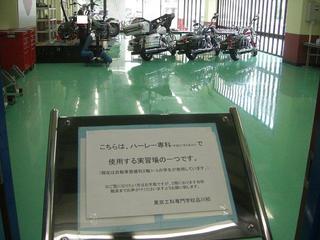 �ϡ��졼���ӥåɥ�����ʡ��µ�����
