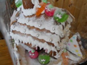 DSCN0008