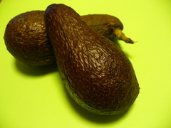 ���ܥ���