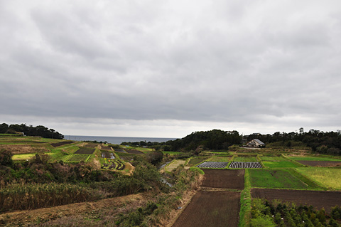 指宿枕崎線の風景