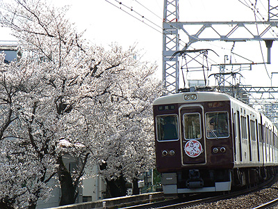 桜と阪急電車＠岡本付近（その２）