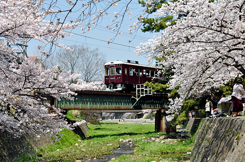 夙川の桜と甲陽線
