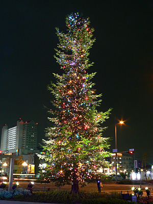 クリスマスツリー＠兵庫県立芸術文化センター（その２）