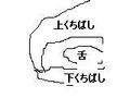 ひっかかったくちばし