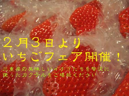 開催!