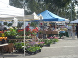 Wilson Park