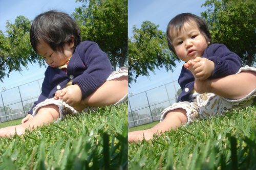 may on the grass