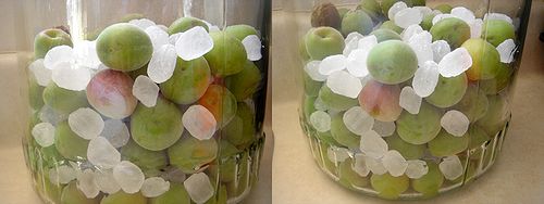 氷砂糖梅