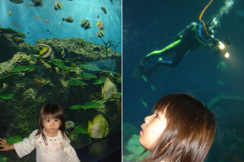 ルナ@水族館