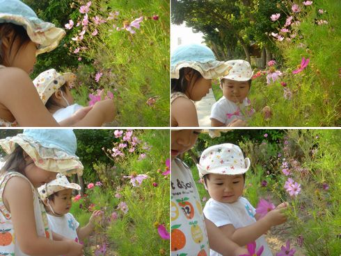 お花、いじいじ