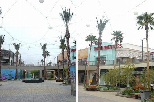 del amo