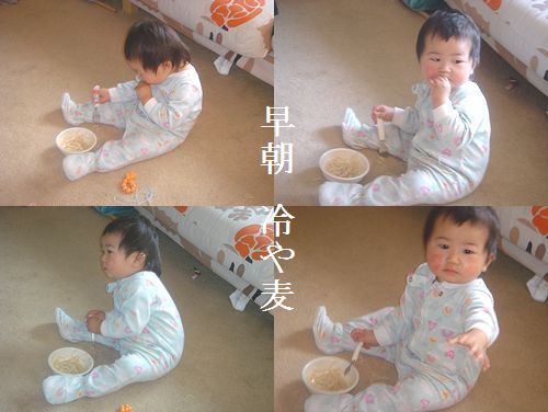 冷や麦を食う!