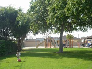@park
