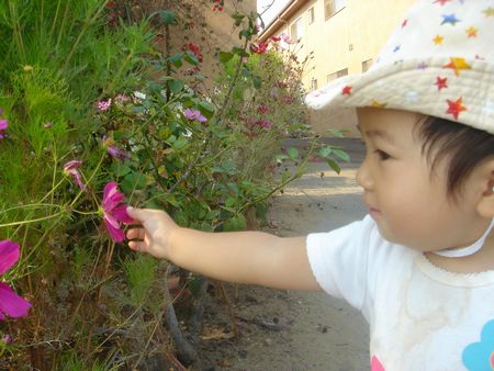 お花きれいねーーー