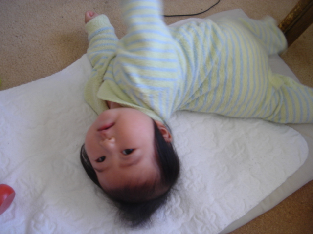 頑張ってるんだけど・・・・