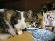 IMG_3404a