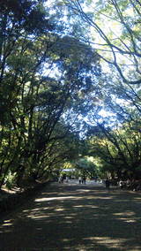 09209f86.jpg
