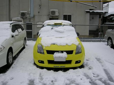 朝に雪は落としたはずなのに