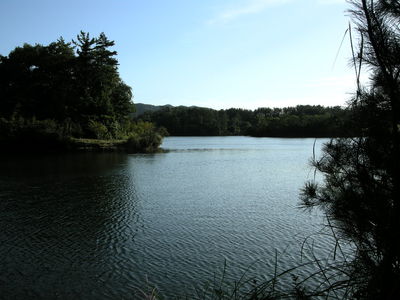 DSCN2956