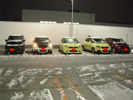 この大雪の中集まってました。