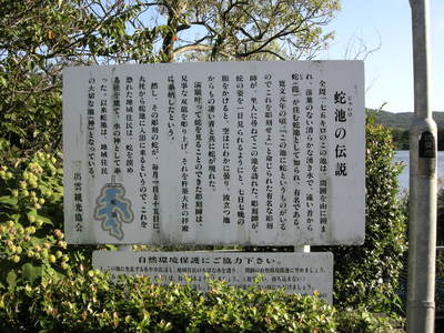 DSCN2958