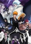 �����BLEACH The DiamondDust Rebellion �⤦��Ĥ�ɹ�شݡڸ����ǡ�