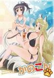 かのこん 第4巻【初回限定版】