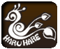 haruhare.com