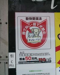 �Ϥ꤬��