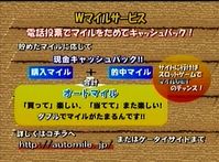 W�ޥ���