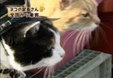 ���ޱ�Ĺ00