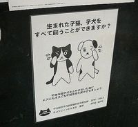 �Ϥ꤬��01