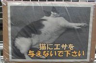 �ͤ�01