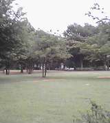 aa6598d3.jpg