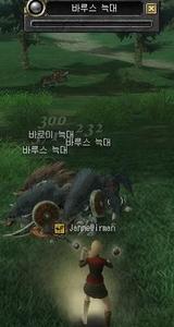 土範囲1