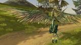wingtribe